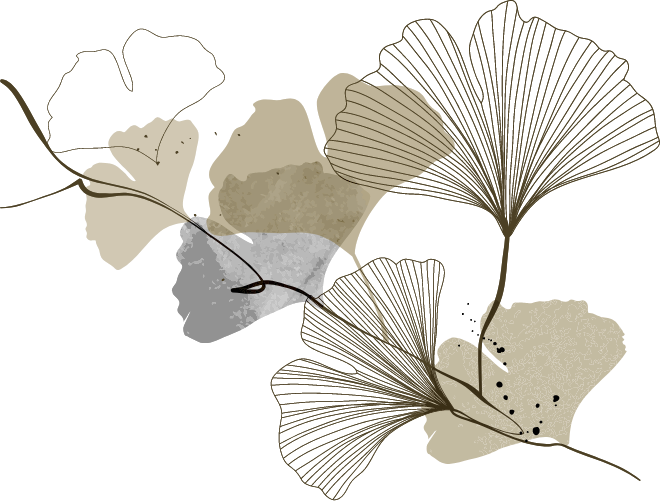 vector